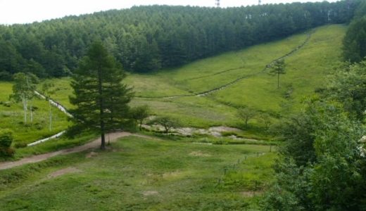 半日で楽しめる山　ゴンドラでいける入笠山