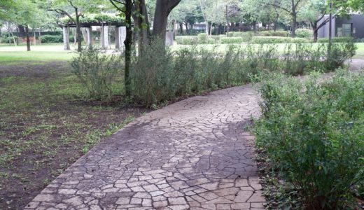 ウォーキングコース　相模原市 横山公園