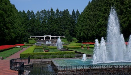 ウォーキングコース　県立相模原公園・相模原市麻溝公園