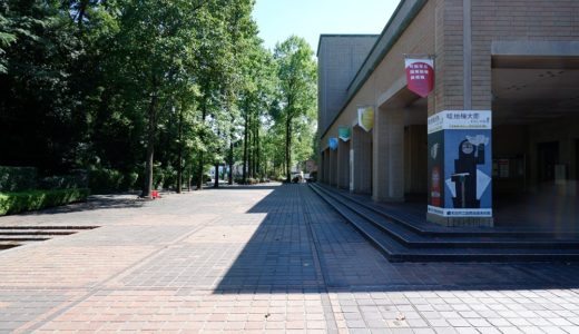 畦地梅太郎と町田市立国際版画美術館