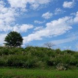 ウォーキングコース　町田市立 野津田公園