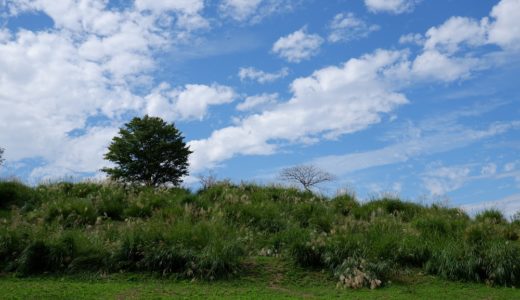 ウォーキングコース　町田市立 野津田公園