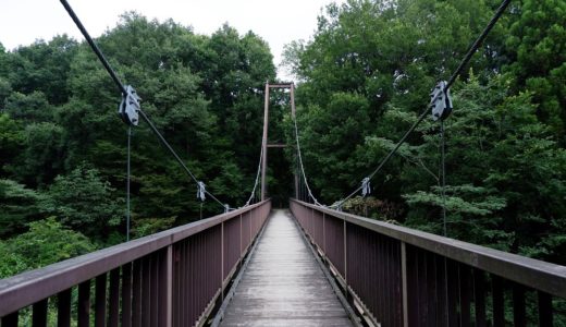 ウォーキングコース　都立 小山田緑地