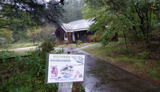 動物の美術館　薮内正幸美術館