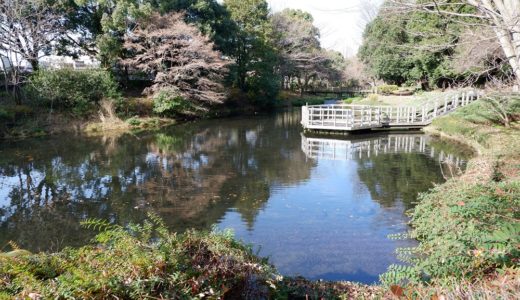 ウォーキングコース　相模原 道保公園