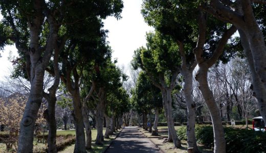 ウォーキングコース　町田市立忠生公園