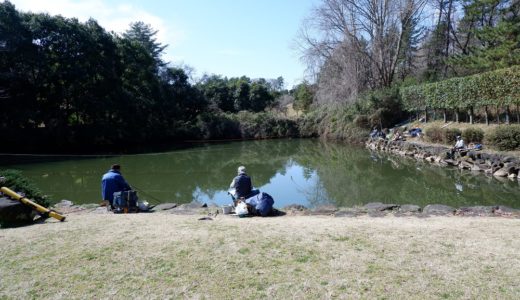 ウォーキングコース　多摩センター、中沢池公園から からきだの道