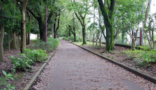 淵野辺運動公園　密だったジョギングコースは今どうなっているの？