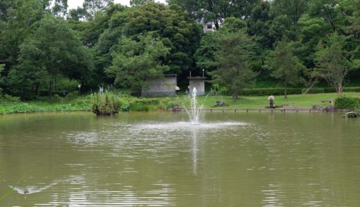 大きな池とジョギングコースがある豊ヶ丘南公園