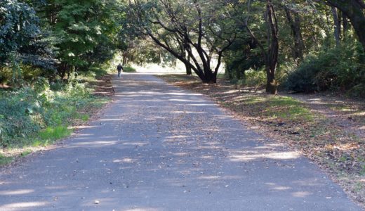 ウォーキングやジョギングに絶対おすすめ　町田の尾根緑道