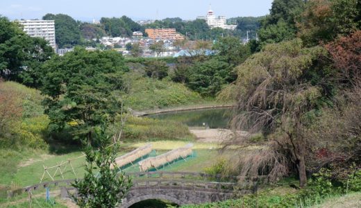 ウォーキングコース　里山の風景とダイヤモンド富士が楽しめる栃谷戸公園