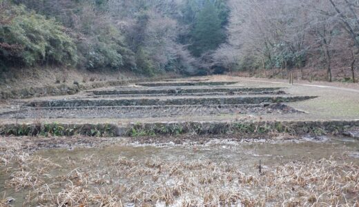 ウォーキングコース　プチ山歩きを楽しめる都立小峰公園