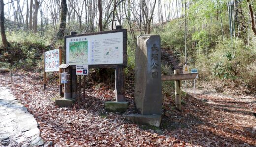 ウォーキングコース　たくさん歩いてのんびり休憩　都立 長沼公園