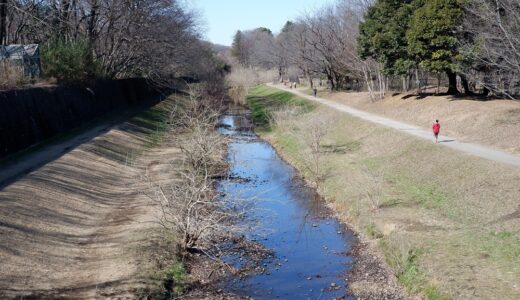 ウォーキングコース　広々とした芝生・野川と自然観察園が魅力の都立野川公園