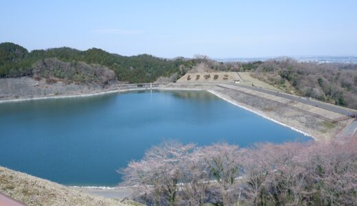 ウォーキングコース　城山かたくりの里から龍籠山・城山湖へ　花、森林浴、広々とした景色が楽しめる贅沢なコース