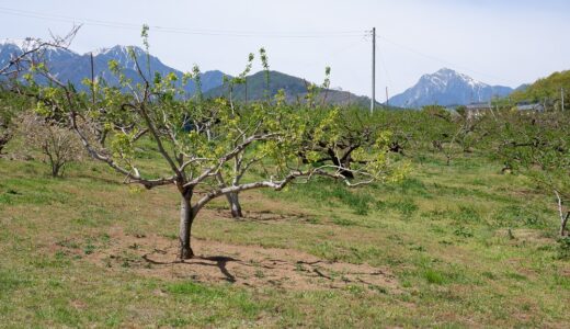 ウォーキングコース　別世界の七里岩の上の街　新府城と桃源郷と山々の絶景