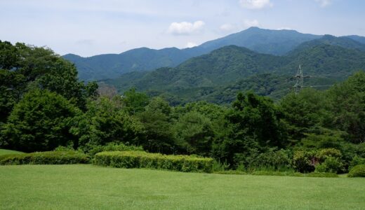 ウォーキングコース　お気に入りスポットが幾つもできる！？　県立七沢森林公園