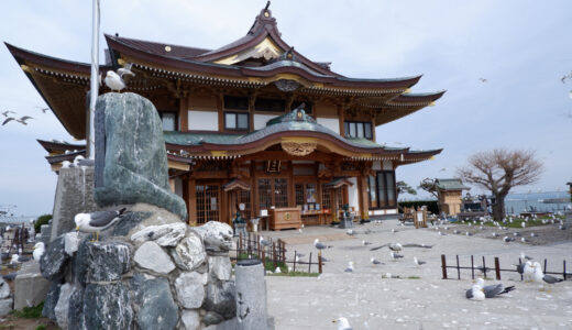 八戸に来たら訪れたい場所　火災後初めて訪れた蕪嶋神社はウミネコでいっぱい！！