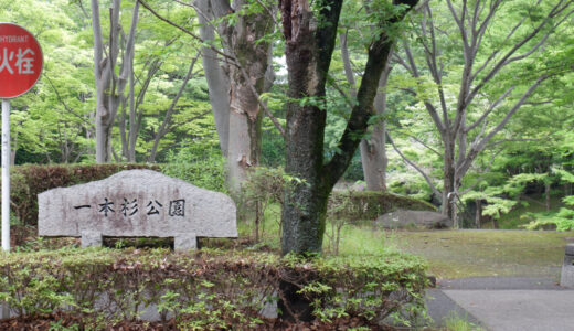 一本杉公園　色々なことが楽しめる欲張りな地元の公園