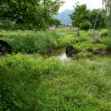 北杜市 台ケ原宿の側にある　ほたる親水公園にいってみた