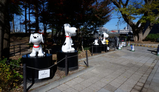 ウォーキングコース　歩いた後はショッピングとグルメ　鶴間公園とグランベリーパーク