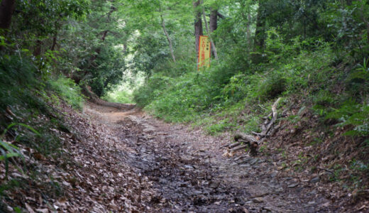 ウォーキングコース　町田尾根緑道から絹の道を通って八王子大塚山公園