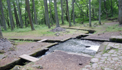 北杜市には水の名所がいっぱい　代表格の三分一湧水に行ってみた！