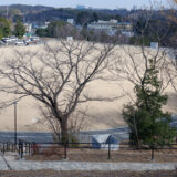 ウォーキングコース　忠生スポーツ公園をベースに尾根緑道を歩くコース