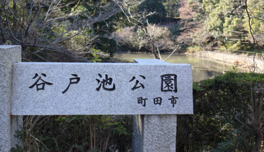 ウォーキングコース　忠生スポーツ公園から尾根緑道を通って谷戸池公園へ
