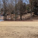 ウォーキングコース　長池公園ベースにして清水入緑地から大平公園を歩く隠れたおすすめコース