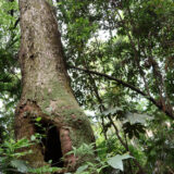 相模原のウォーキングコース　横山公園から「てるて姫の小径」