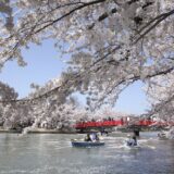 三陸沖でマグニチュード７．７の地震発生！！　弘前・八戸旅行のキャンセルの手続きは？