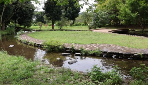 夏におすすめ　相模川自然の村公園と上大島キャンプ場